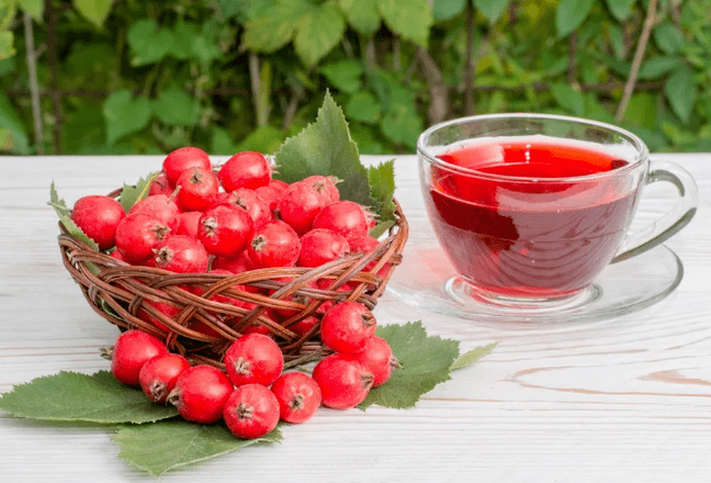 A decoction of Hawthorn
